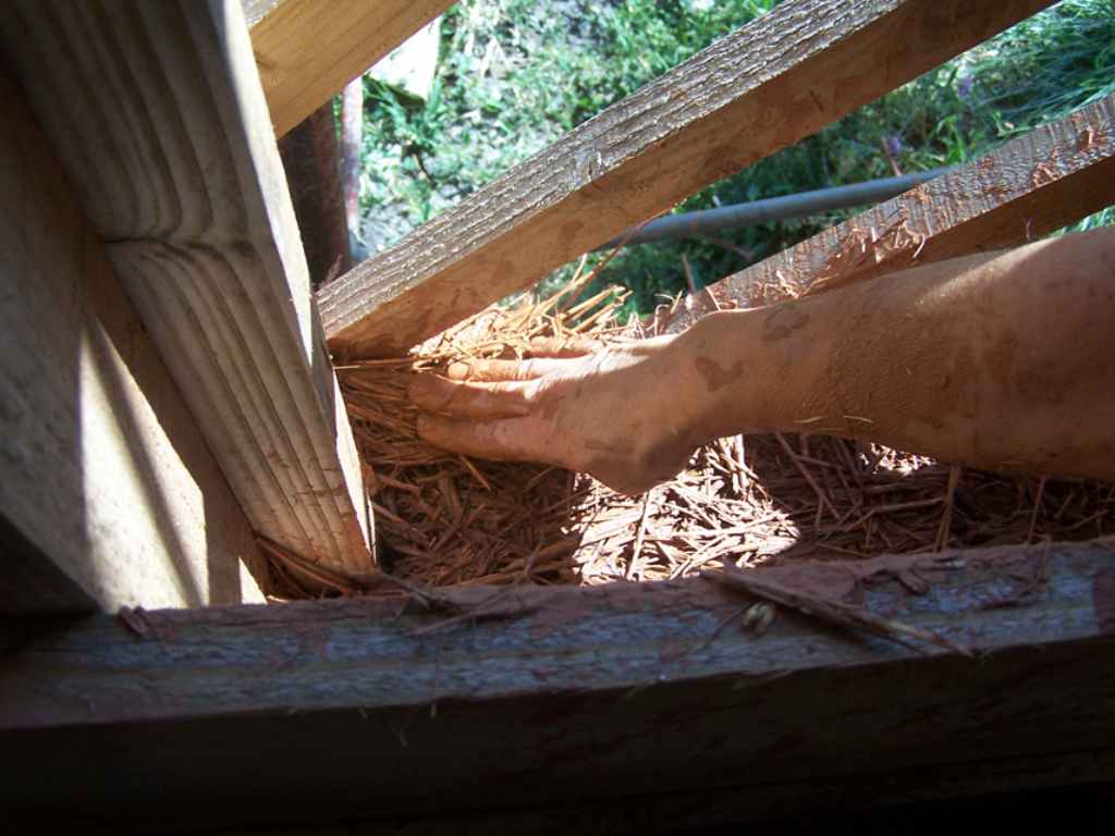 5_paille-terre_banche