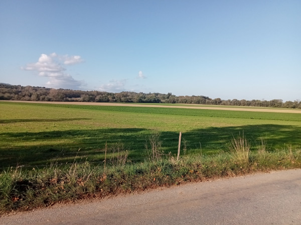 J2-3_paysage-champs