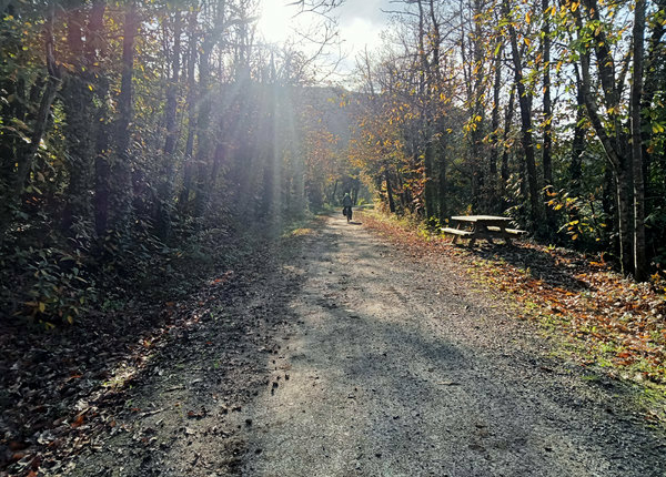 J8-12_OlarguesChataigniers_600px_©MLuye J8-12_OlarguesChataigniers_600px_©MLuye